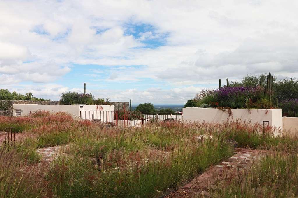 Albor San Miguel De Allende Tapestry Collection By Hilton Eksteriør bilde